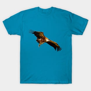 Griffon Vulture T-Shirt